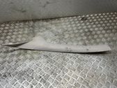 (A) pillar trim