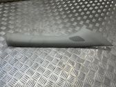 (A) pillar trim