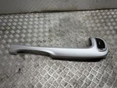 Dashboard trim