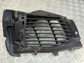 Front bumper lower grill