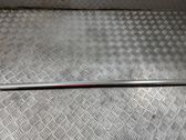 Rear door glass trim molding