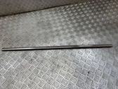 Verkleidung Türfenster Türscheibe vorne