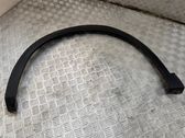Fender trim (molding)