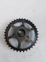 Timing chain sprocket