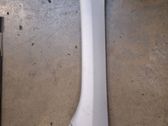 (A) pillar trim