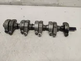 Tappets lifter