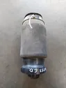 Rear air suspension bag/shock absorber