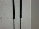 Tailgate/trunk strut/damper