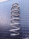 Rear coil spring