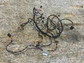 Other wiring loom