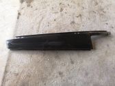 Rear door glass trim molding
