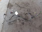 Rear door wiring loom