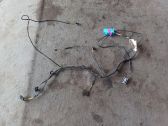 Front door wiring loom