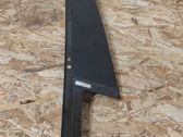 Rear door glass trim molding