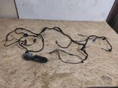 Rear door wiring loom
