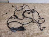 Front door wiring loom