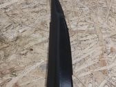 Rear/tail light trim molding