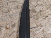 Rear/tail light trim molding