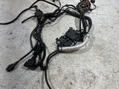 Gearbox/transmission wiring loom