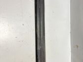 Front sill trim cover