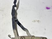 Tailgate/trunk/boot hinge