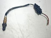 Sonde lambda