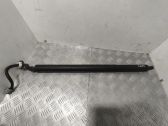 Tailgate/trunk strut/damper