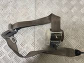 Cinturón trasero