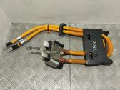 Engine installation wiring loom