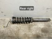 Rear shock absorber with coil spring