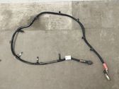 Other wiring loom