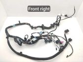 Front door wiring loom