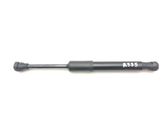 Front bonnet/hood damper/strut