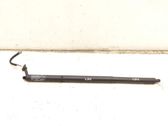 Tailgate/trunk strut/damper