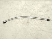 Rear door trim (molding)