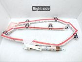 Roof airbag