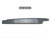 Rear door trim (molding)