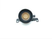 Front door high frequency speaker