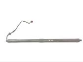 Tailgate/trunk strut/damper