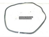 Rubber seal tailgate window/glass