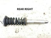Rear shock absorber/damper