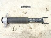 Stoßdämpfer hinten