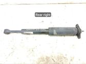 Rear shock absorber/damper