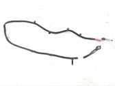 Other wiring loom