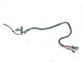 Other wiring loom