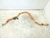 Other wiring loom