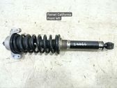 Front shock absorber with coil spring