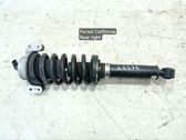 Rear shock absorber/damper
