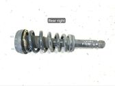 Rear shock absorber/damper