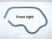 Front door rubber seal